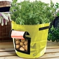 thumbnail image 4 of Potato Planter PE Container Bag | Reusable Lightweight Grow Pot with Side Window | Drain Holes for Better Growth | Double Handles | 35x50cm | Home Garden Balcony Use, 4 of 6