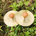 thumbnail image 3 of 4pcs Finger Cymbals Kids Finger Cymbals Mini Musical Instruments Early Educational Cymbals, 3 of 8