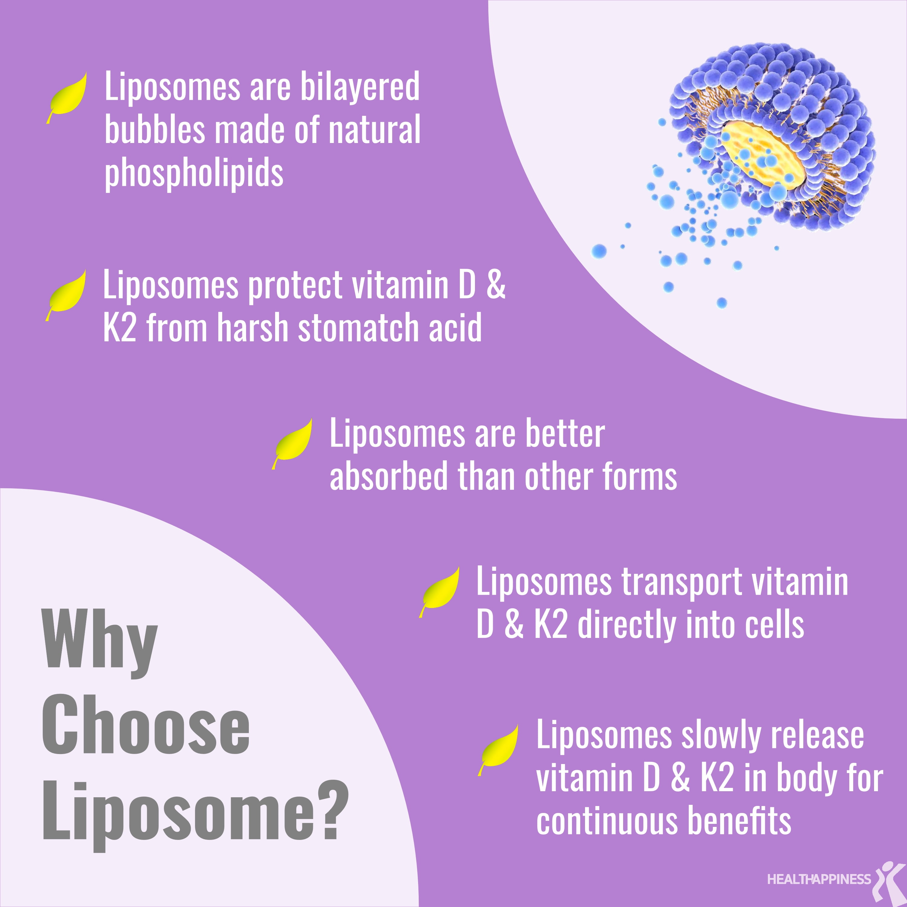 Liposomal Vegan Vitamin D3 K2 Softgels, 5 Month Supply, Certified Vegan Vitamin D3 5000 IU Plus 500 mcg Vitamin K2 MK4 & MK7