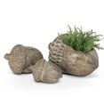 thumbnail image 4 of Décor Rustique de Gland, 4 of 4