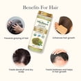 thumbnail image 3 of byPureNaturals 100% Natural Herbal Organic Bhringraj Powder Eclipta Alba) For Hair and Skin Care- 100gm, 3 of 6