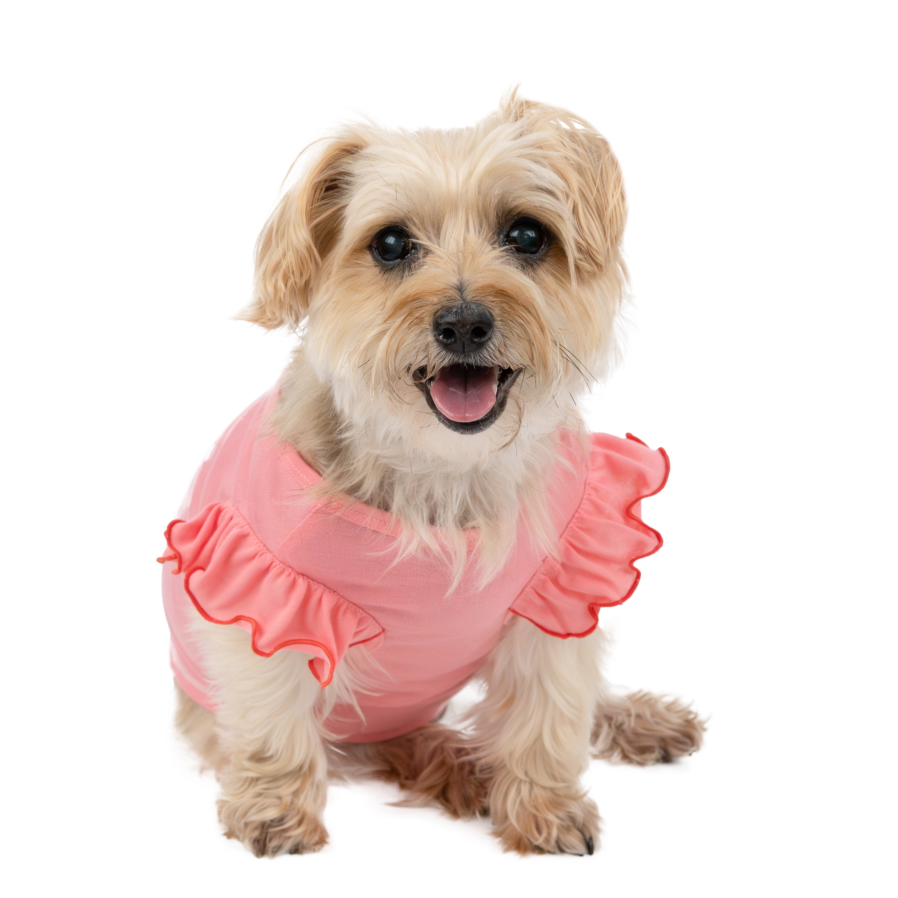 Vibrant Life All You Need Is Love Cat and Dog T-Shirt, Pink, Small