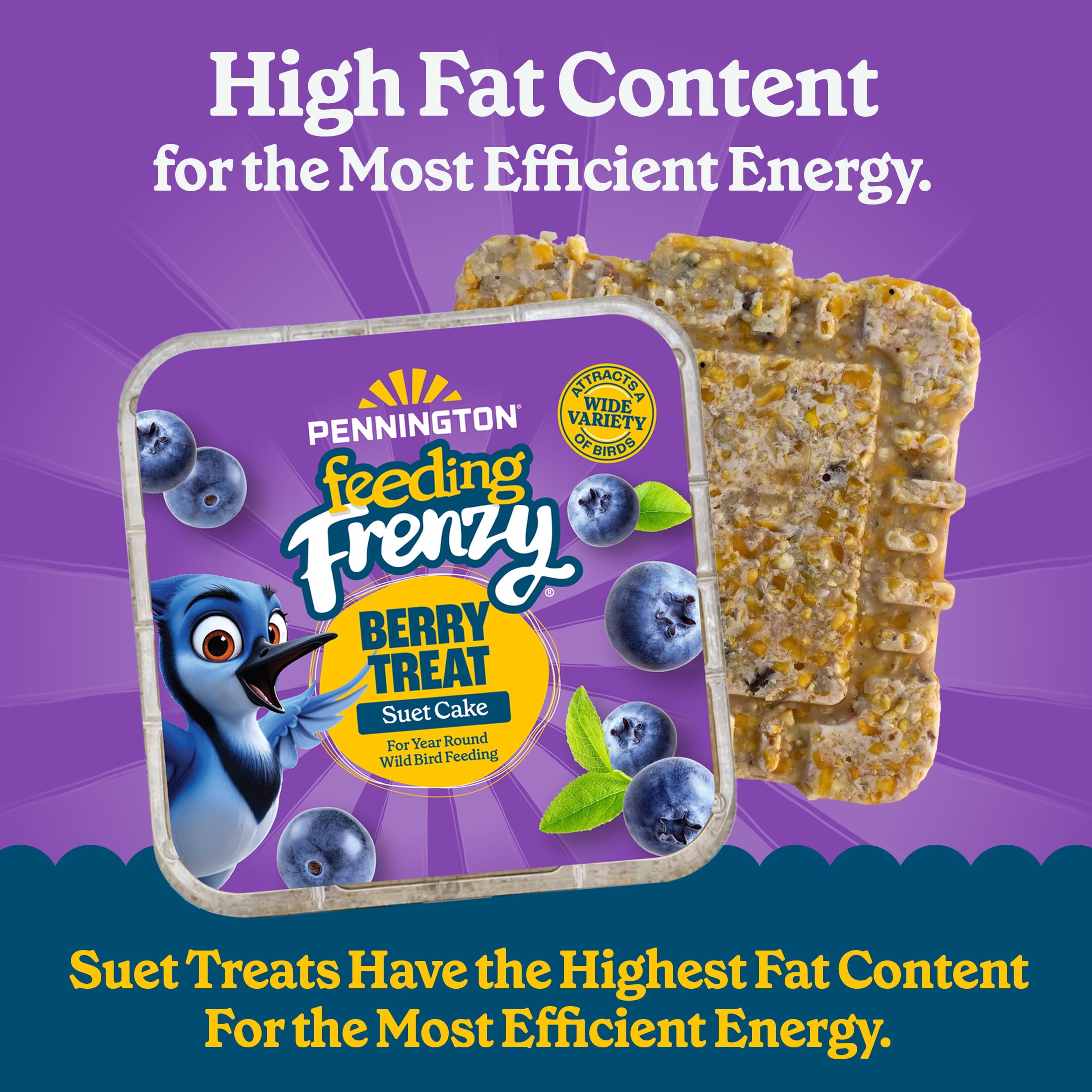 Pennington Feeding Frenzy Berry Treat Suet, 11.75 oz Cake, Wild Bird Food, 1 Pack, Fresh