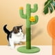 thumbnail image 4 of Poste de rascado de gato Colco Juguete interactivo de cactus Poste rascador para gatos, 4 of 8