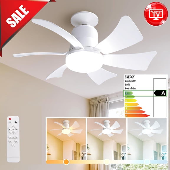 Socket Fan Light Ceiling Fans with Lights