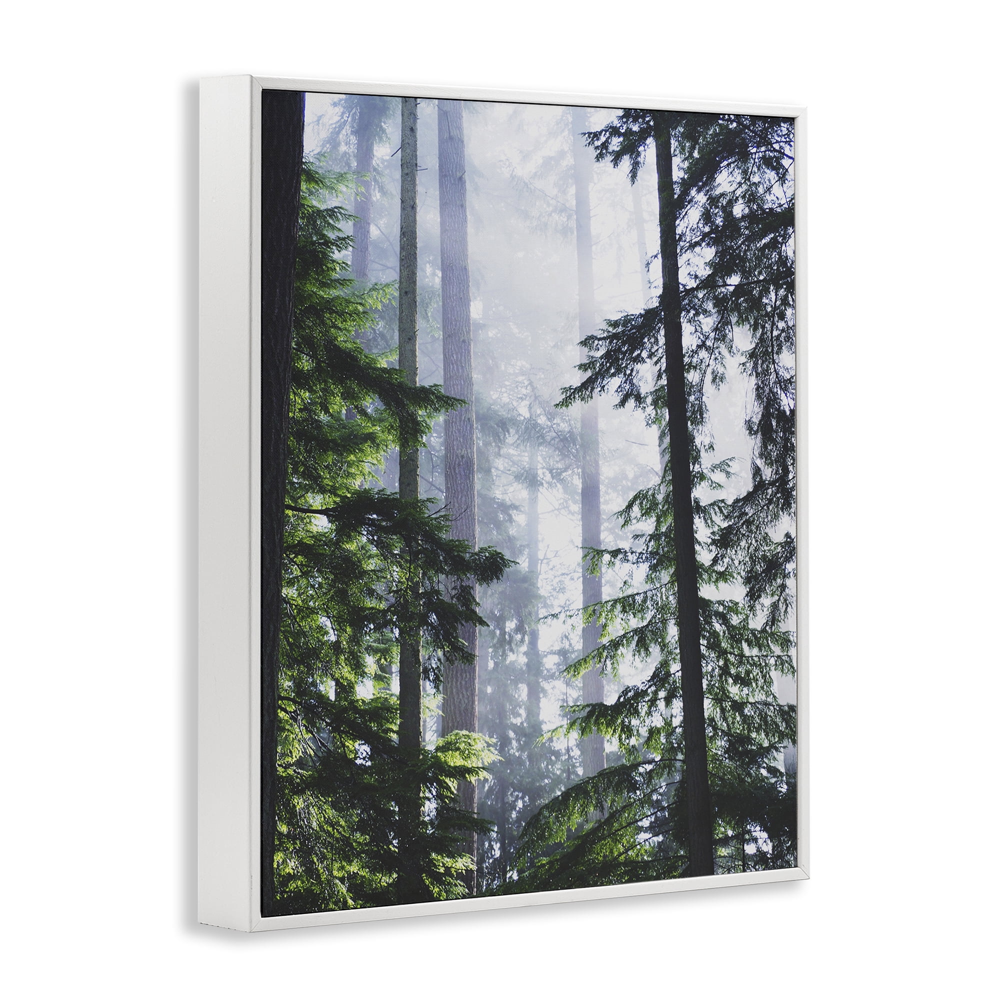 Stupell Industries Foggy Forest View Landscape Photography White Framed Art Print Wall Art, 16 x 20