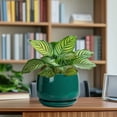 thumbnail image 6 of Ordivic 7 Inch Blackish Green Ceramic Planter with Drainage Hole and Saucer – Round Flower Pot for Indoor Outdoor Plants, Moody Home Decor, 6 of 8