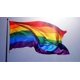 thumbnail image 4 of ZHAOCHENG Bandera gigante del orgullo gay arcoíris LGBT de 150 x 240 cm, 60 x 90 cm, 4 of 5
