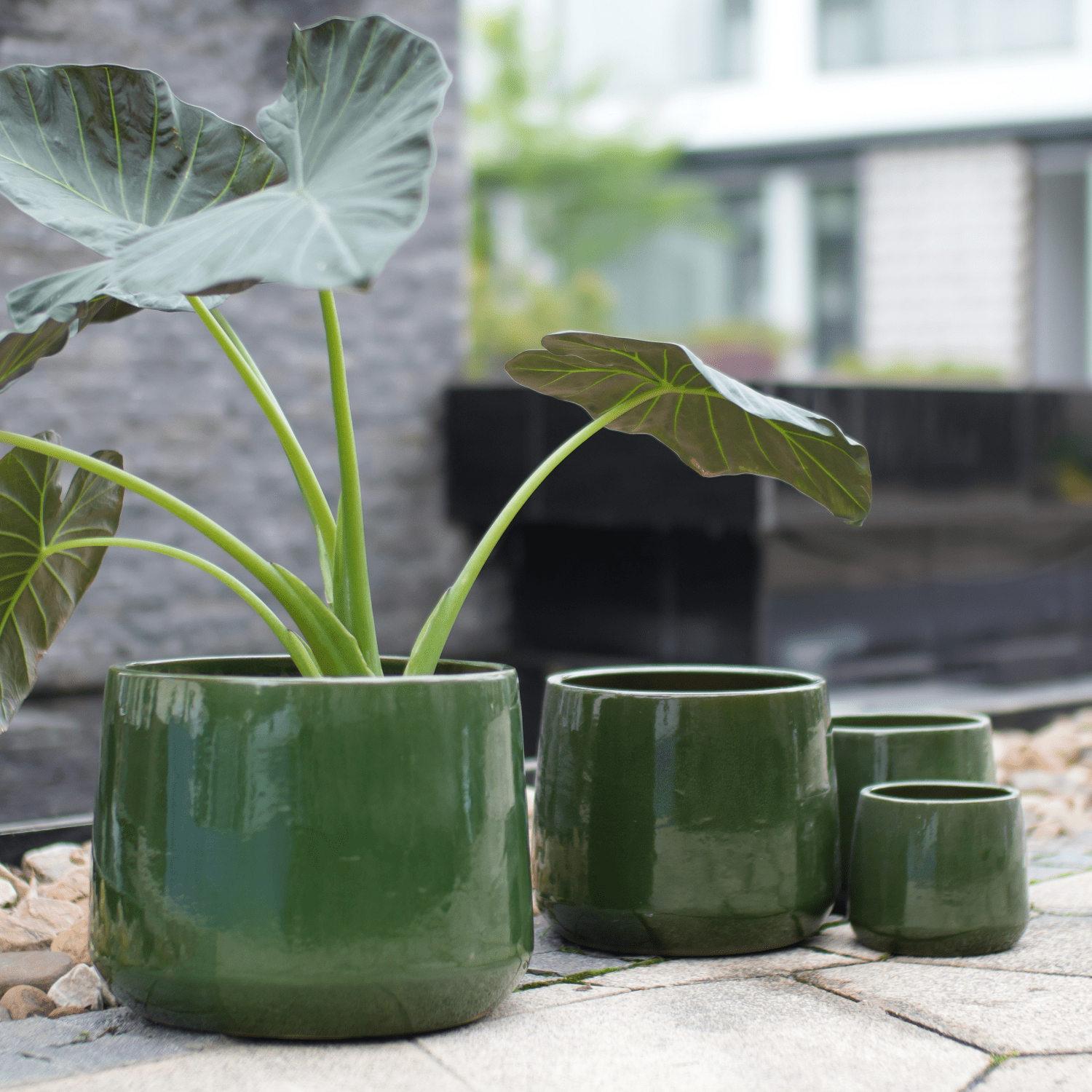 mdj pottery 4pcs Deep Green Ceramic Flower Pots, 6-14 Inch Vertical Brushed Texture Planters with Drainage Holes, Indoor/Outdoor Use Ideal for Orchids, Succulents & Cacti
