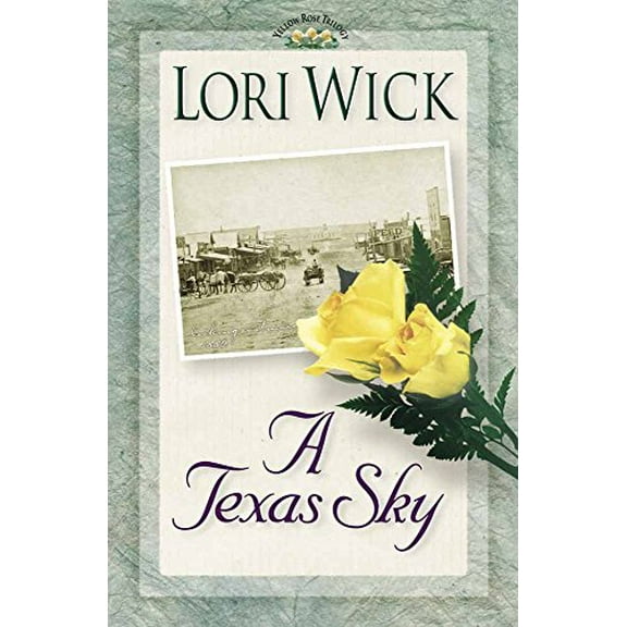 Pre-Owned A Texas Sky (Paperback) 0736901876 9780736901871