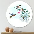 thumbnail image 2 of Designart 'Ancient Hummingbird IV' Traditional Circle Metal Wall Art 23x23 - Disc of 23, 2 of 5