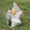 thumbnail image 4 of 100 bolsas de protección para frutas y plantas de jardín, bolsa de red con cordón, insectos, mosquitos, plagas de insectos, pájaros, bolsas de protección para jardín de 10 cm x 15 cm, 4 of 5