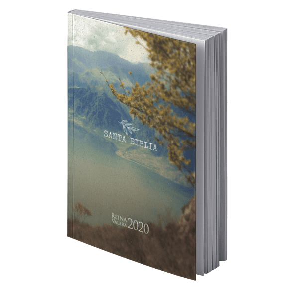 Biblia RVR 2020 Letra Grande La Creación Rústica