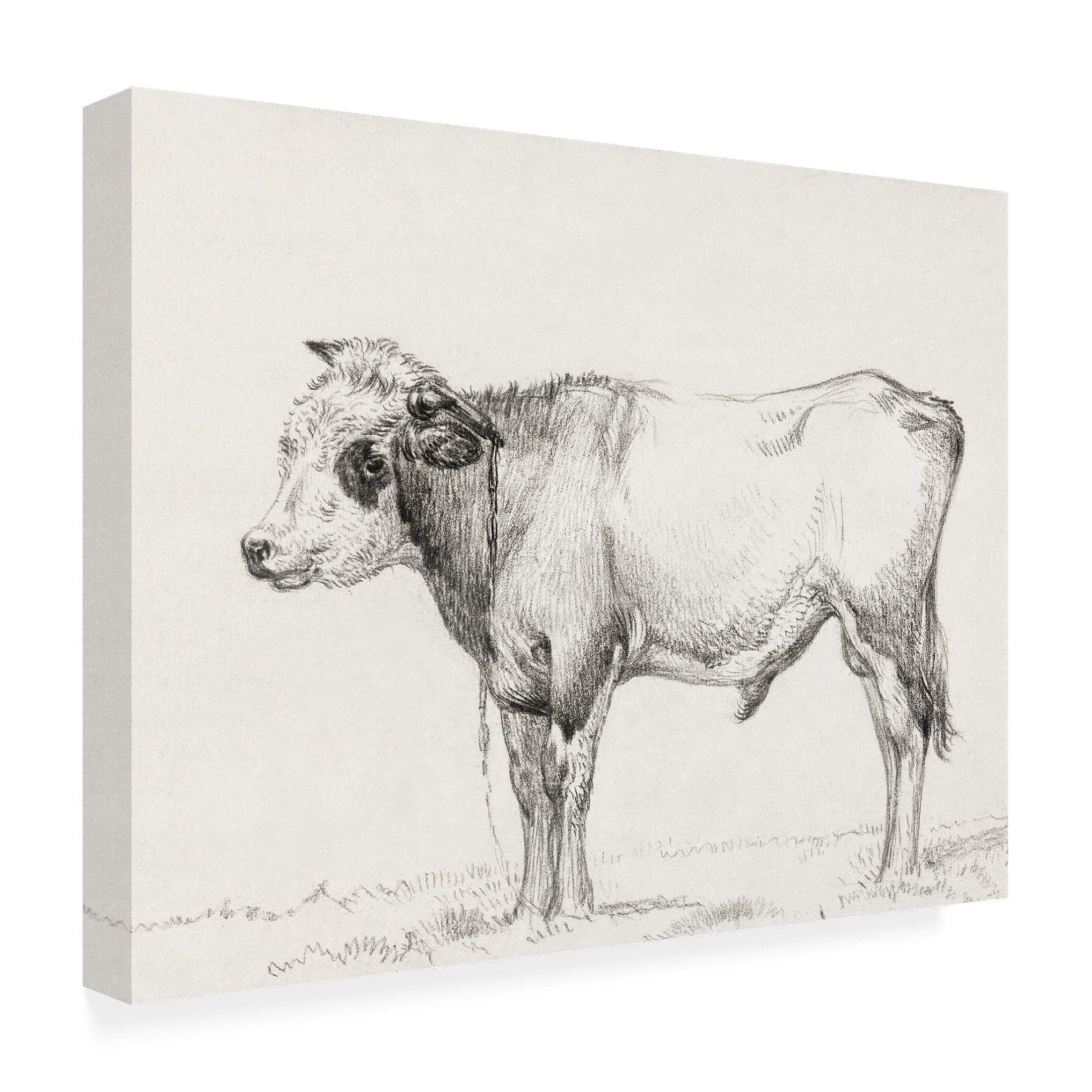 Trademark Fine Art Jean Bernard  Bernard's Bull Renderings III Canvas Wall Art