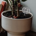 thumbnail image 4 of 10 cestas abonadoras para bonsái, de acero inoxidable, para plantar fertilizantes. Accesorios de jardinería., 4 of 8
