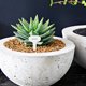thumbnail image 3 of GOOHOCHY 100 etiquetas para plantas, marcadores de jardín, etiquetas para plantas, letreros para plantas de jardín, 3 of 8