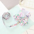 thumbnail image 2 of 1 Set Pet Harness Leash, Flower Pattern Pet Chest Harness Breathable Set Pet Traction Rope Kit Mesh Chest Strap for Puppy Small Medium Dogs Pink M, 2 of 4
