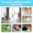 thumbnail image 3 of Flirt Pole for Dogs, Retractable Teasing Stick with Lure, Interactive Dog Toys for Outdoor Training Play Exercise, 40 Inch Flirt Stick for Dog Agility Training Equipment, 3 of 8