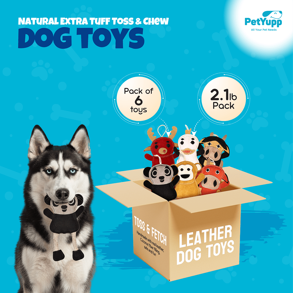 PetYupp 6 Assorted Leather Dog Toys for Small Dogs & Puppies – Natural Leather Chew Toys w/Coconut Fiber Filling & Jute Rope – Eco-Friendly, Non-Toxic, Durable Play Set for Teething & Light Chewers