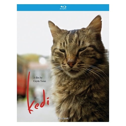 OSCILLOSCOPE PICTURES KEDI (BLU-RAY) BR081
