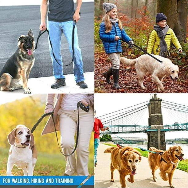 Dog leash with second handle hotsell