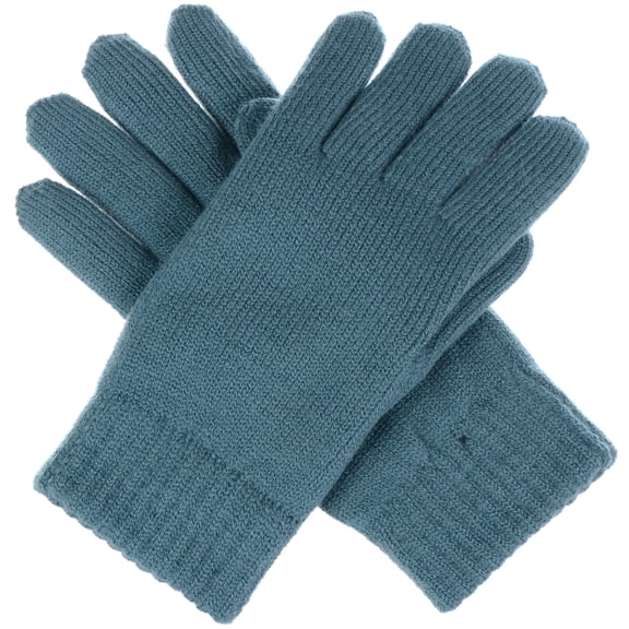 Women's Toasty Warm Plush Fleece Lined Knit Winter Gloves (Cadet Blue)