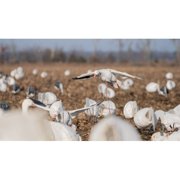 Higdon Clone Snow Goose Flapping Decoy