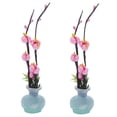 thumbnail image 4 of WORGEOUS 2pcs Artificial Plum Blossom Sushi Sashimi Plate Decoration Fake Floral Table Centerpiece, 4 of 8