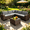 Gray, variant on Asofer 6 Piece Outdoor Patio Conversation Sets，Spacious Patio Sectional Furniture Set with Adjustable Raised Feet，Thicken Cushions and A Coffee Table for Courtyard,Poolside,Party,Gray