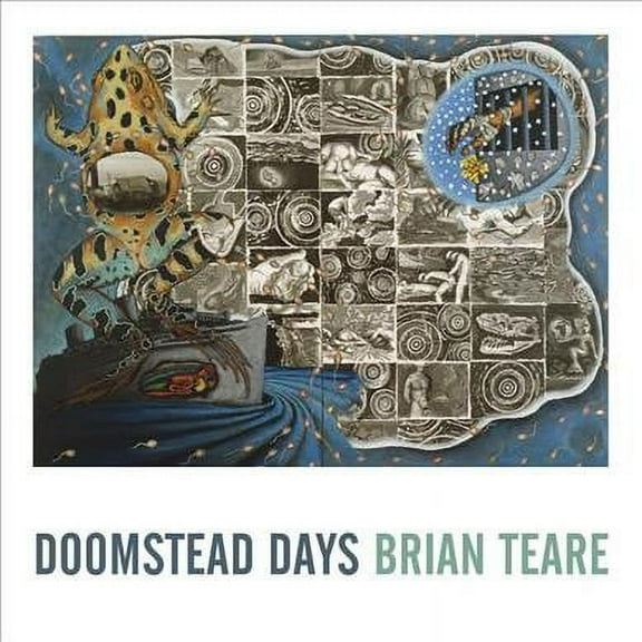 Doomstead Days (Paperback)