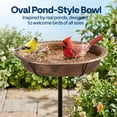 thumbnail image 5 of SPECSTAR Oval Bird Bath for Outside, Outdoor Birdbath Bowl with Metal Ground Stake, Weather-Resistant ABS Bird Bath and Feeder for Garden, 1.3 Gallons, Bronze, 5 of 8
