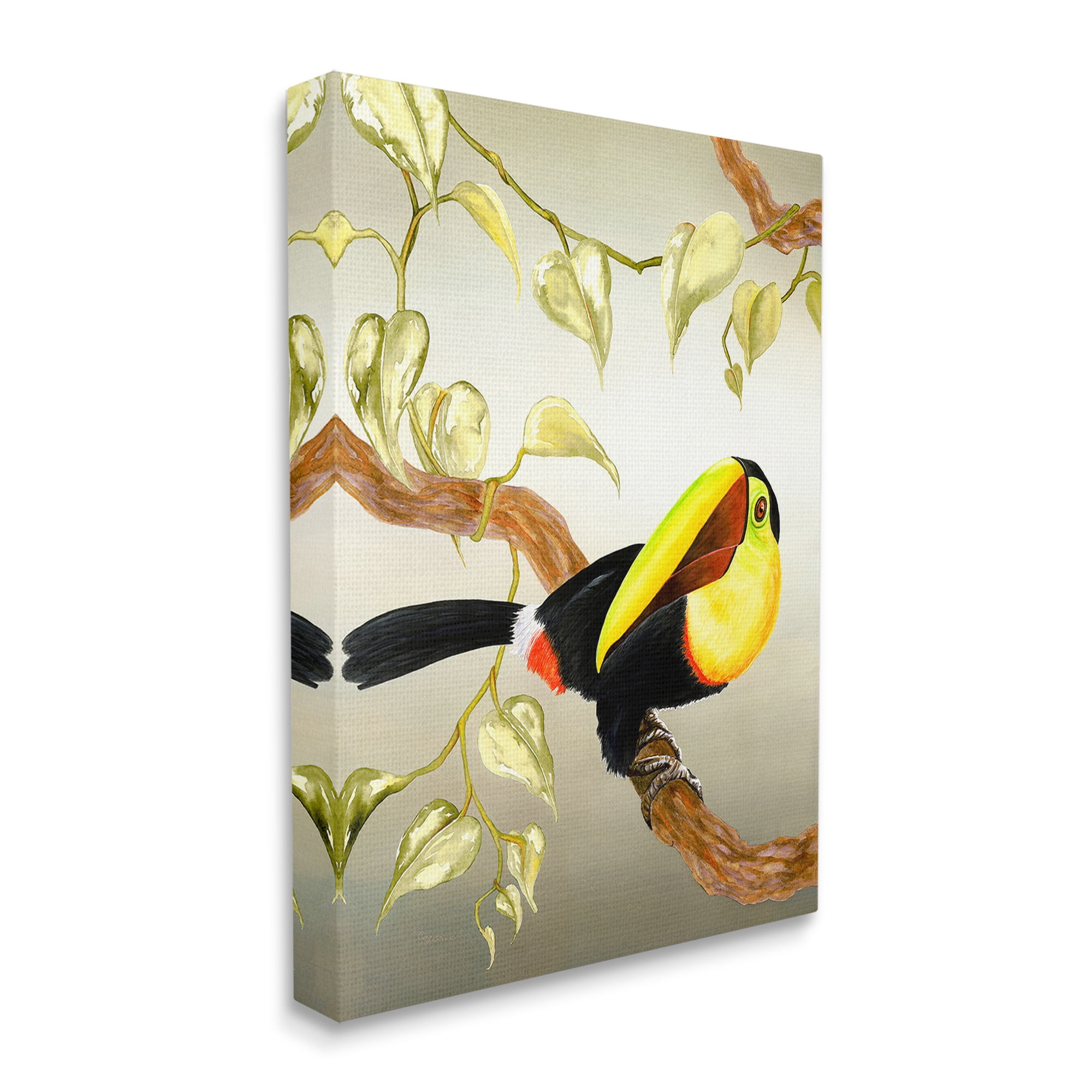 Stupell Industries Toucan Perched on Branch Animals & Insects Painting Gallery Wrapped Canvas Art Print Wall Art, 24 x 30
