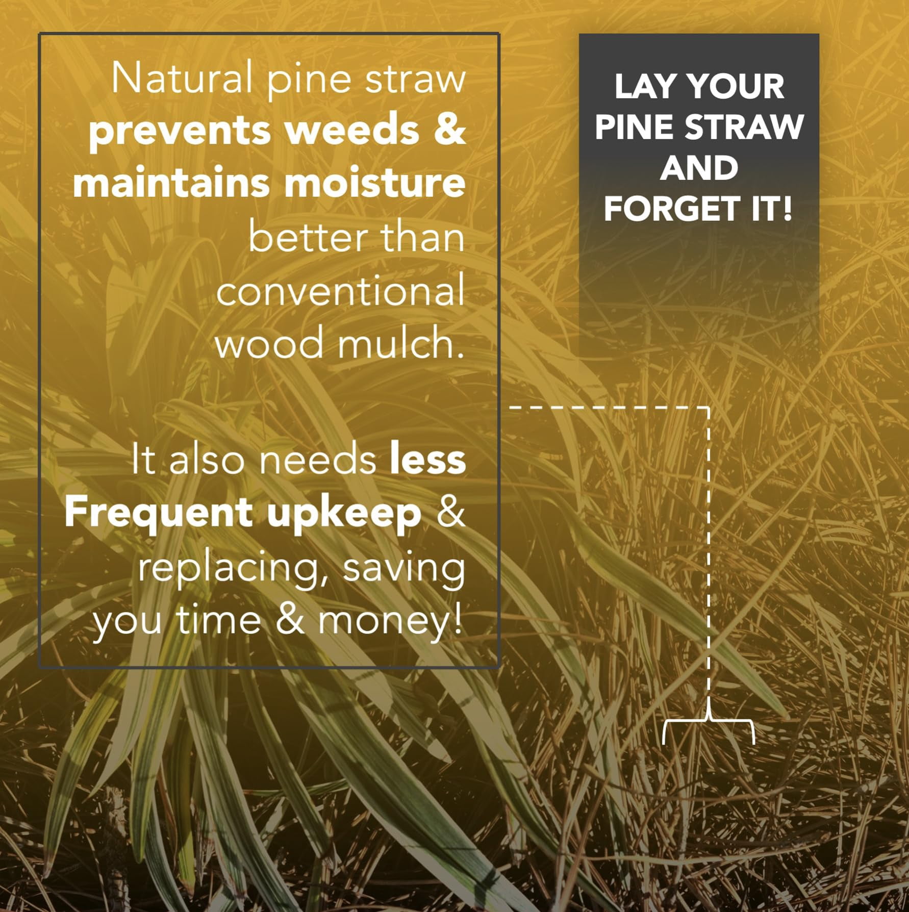 Home and Country USA Premium 4 Pound Pine Straw Mulch for Landscaping, Organic Material Made from Authentic Pine Needles Ideal for Gardening, Soil Moisture Retention.