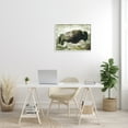 thumbnail image 2 of Stupell Industries Vintage Buffalo in Distressed Rustic Field Country Animal Animals & Insects Painting White Framed Art Print Wall Art, 24 x 30, 2 of 7
