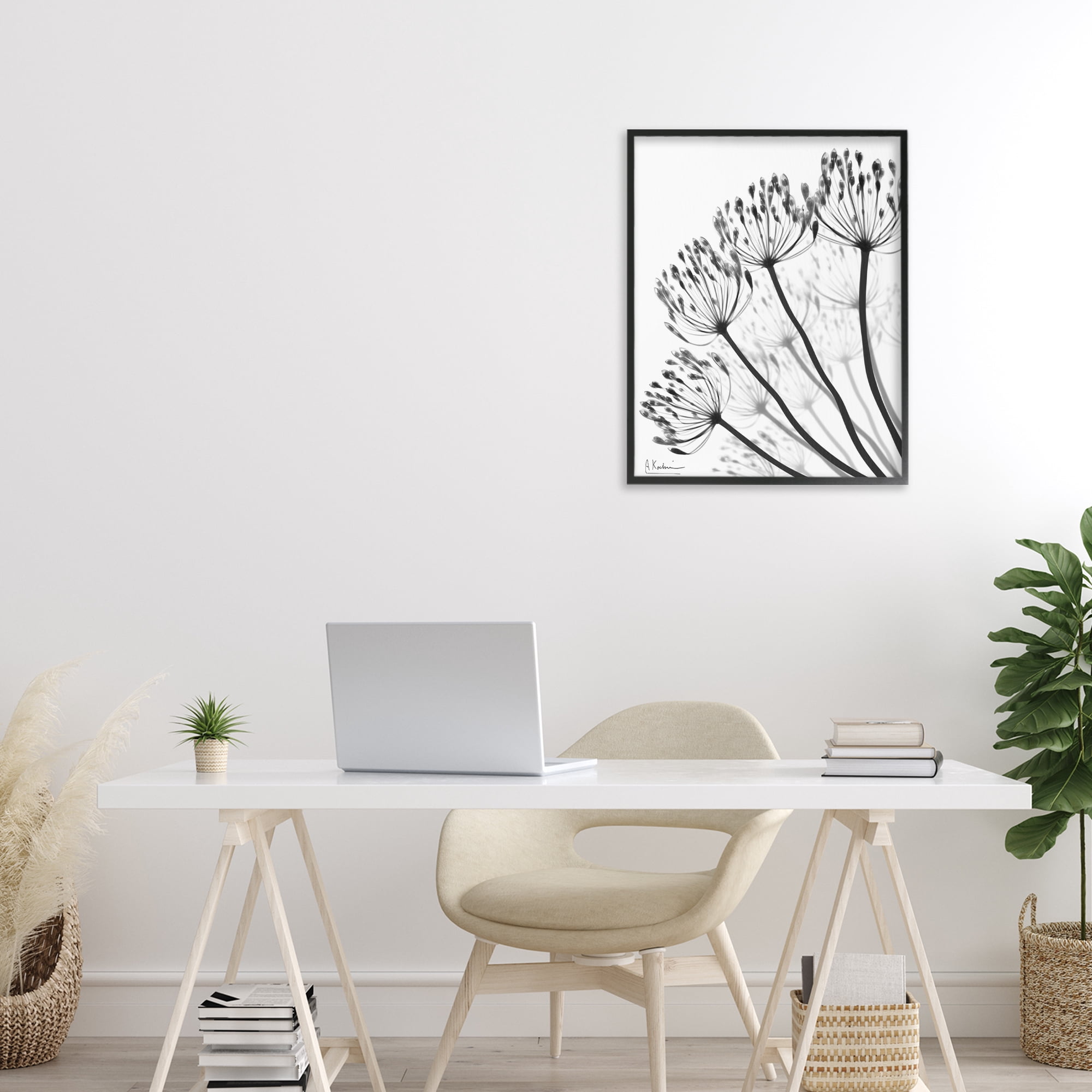 Stupell Industries Floral Fan Dandelions Black Framed Giclee Art, design by Albert Koetsier