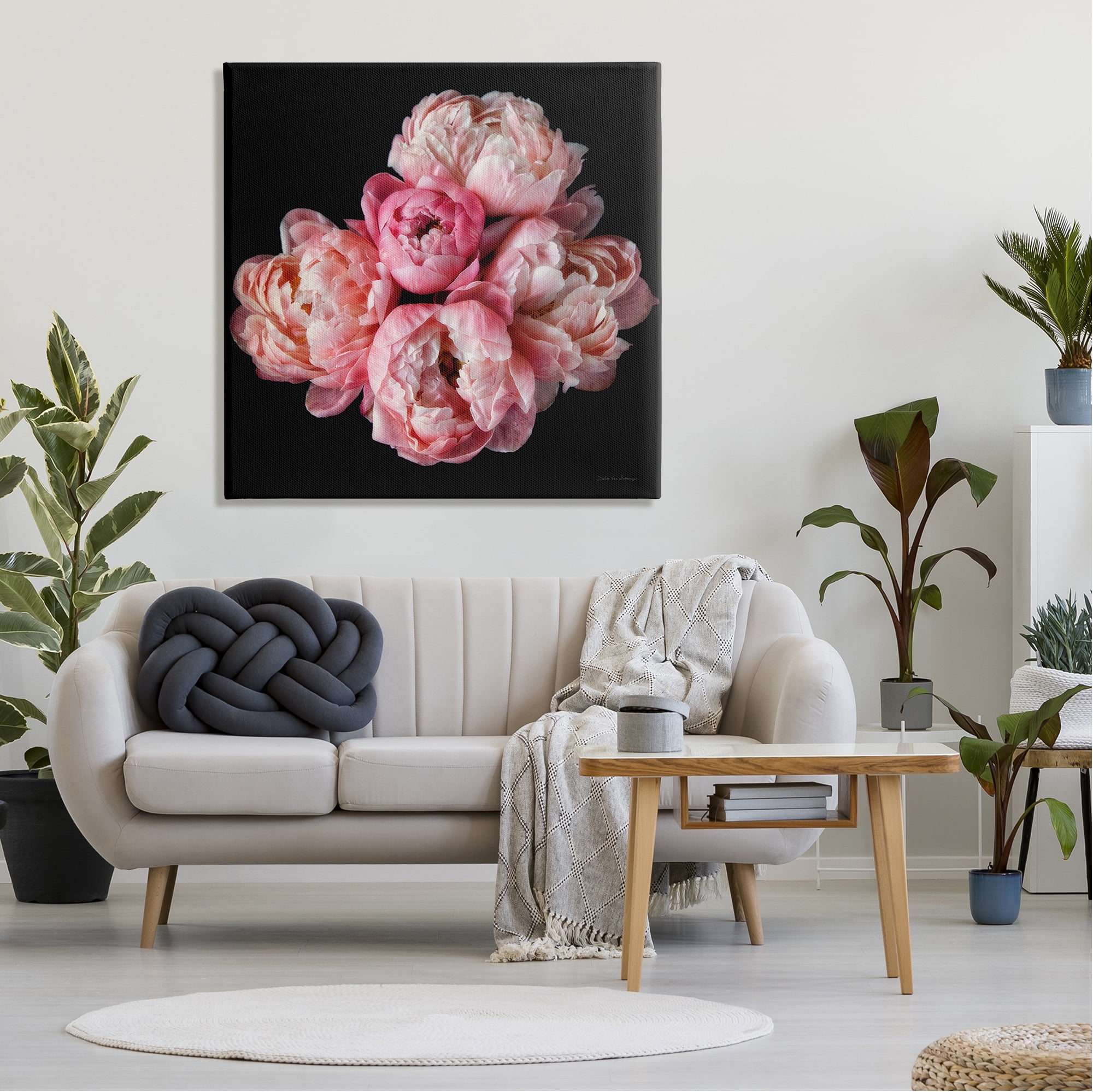 Stupell Industries Peonies on Black Botanical & Floral Photography Gallery Wrapped Canvas Art Print Wall Art, 36 x 36