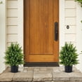 thumbnail image 3 of 21.5” Artificial Cedar Topiary Trees Set of 2, Faux Boxwood Plants w/Cement Pot & Wood Trunk, Decorative Fake Greenery Artificial Plants Outdoor for Home, Office, Garden, Porch, Front Door, 3 of 18