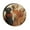 style-1, variant on Camping Spare Tire Cover 12inch Fall Thanksgiving Dog Pumpkin Wheel Protectors Tire Covers Weatherproof Wheel Covers Autumn Thanksgiving Pumpkin Fit for SUV Truck Travel Trailer