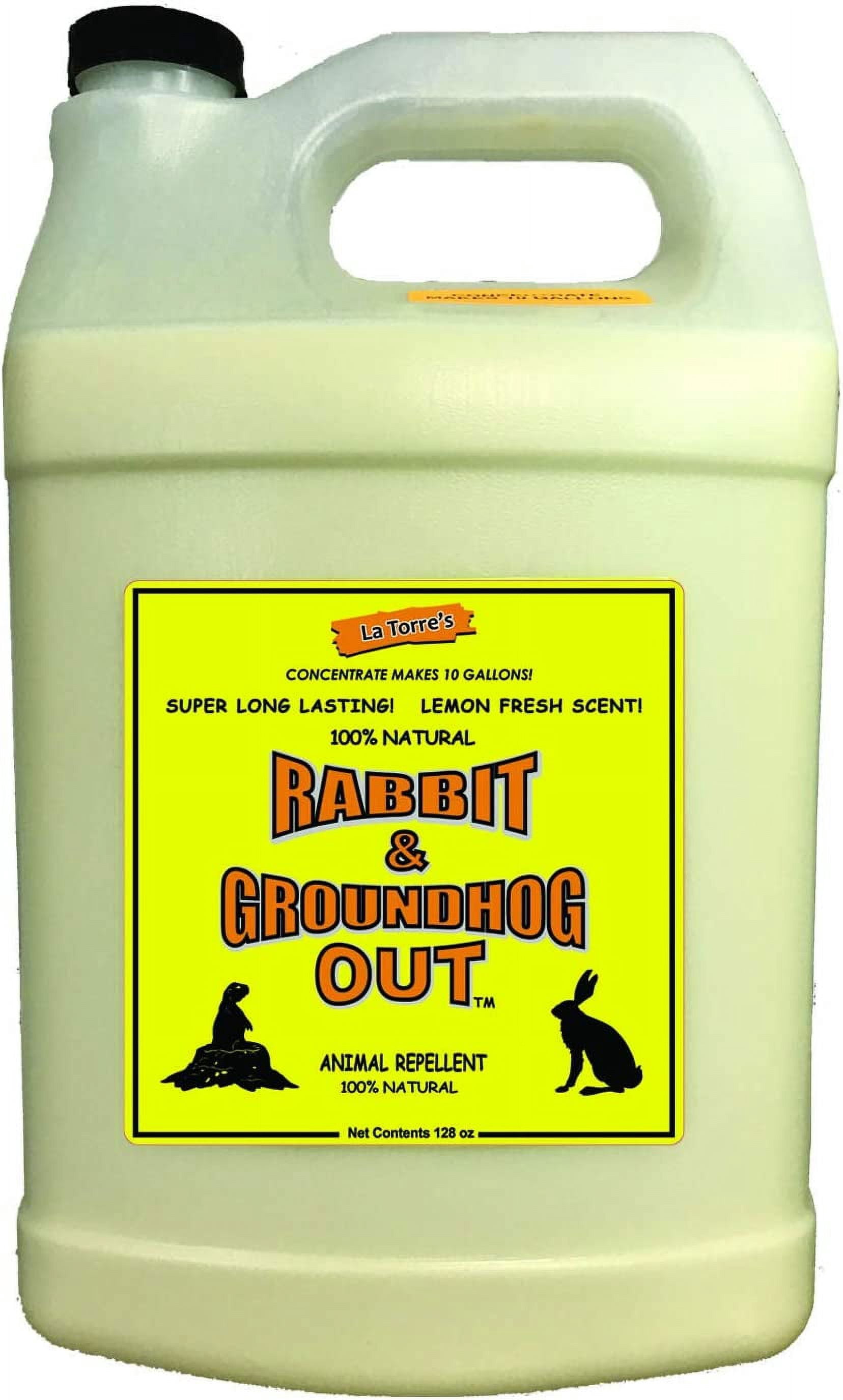 Rabbit & Groundhog Repellent: Rabbit Out 1 Gallon Concentrate