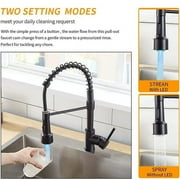 Matte Black Kitchen Faucet with LED Sprayer Single Handle Pull Down Sink Faucet