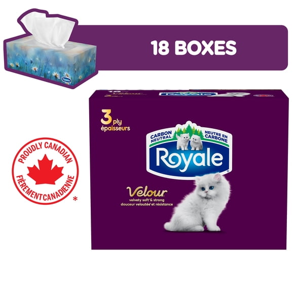 Mouchoirs Royale Velour, 18 boîtes, 82 mouchoirs par boîte