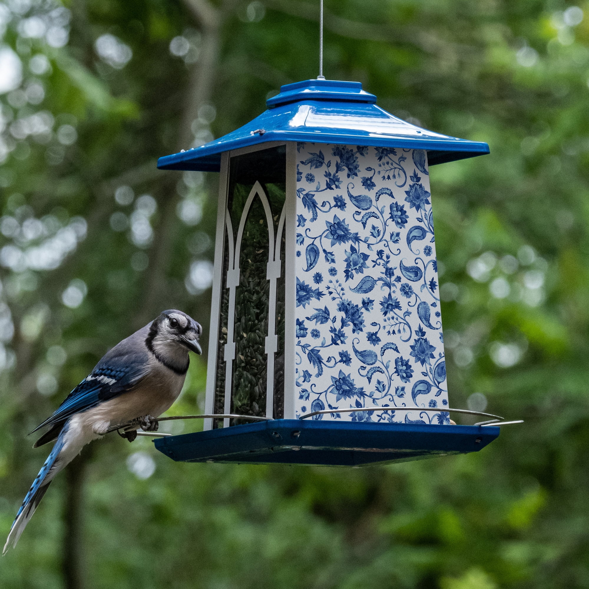 Blue Donuts Hanging Chain for Bird Feeder, Planter, Multipurpose