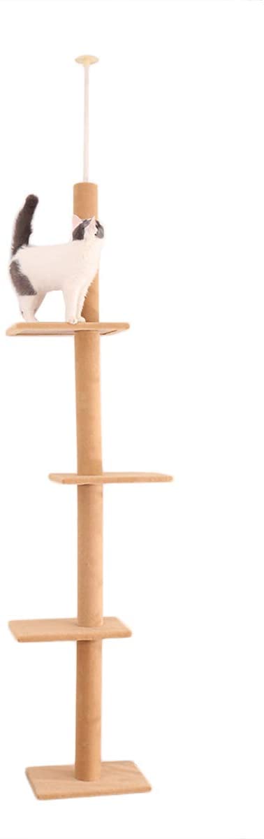 cat tree canada