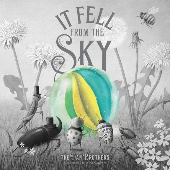 It Fell from the Sky, (Hardcover)