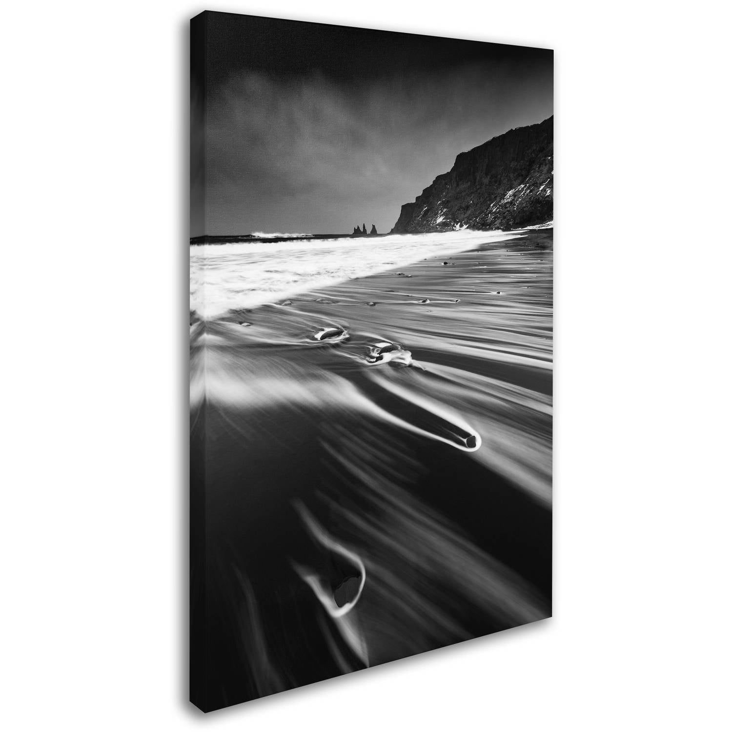 Trademark Fine Art "Veins of the Sea" Canvas Art by Mathieu Rivrin