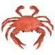 thumbnail image 4 of Figura de juguete de cangrejo ANGGREK Modelo educativo cognitivo de animales marinos 17,5 x 2,3 cm, 4 of 8