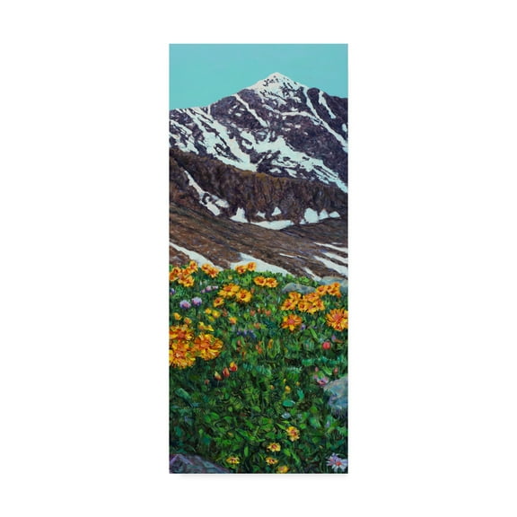 Trademark Fine Art 'Torreys Peak in Spring' Canvas Art by James W. Johnson