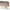 Gold - Brown, variant on Womens Oversized Rimless Shield Luxury Heart Bling Jewel Hinge Sunglasses Gold - Smoke