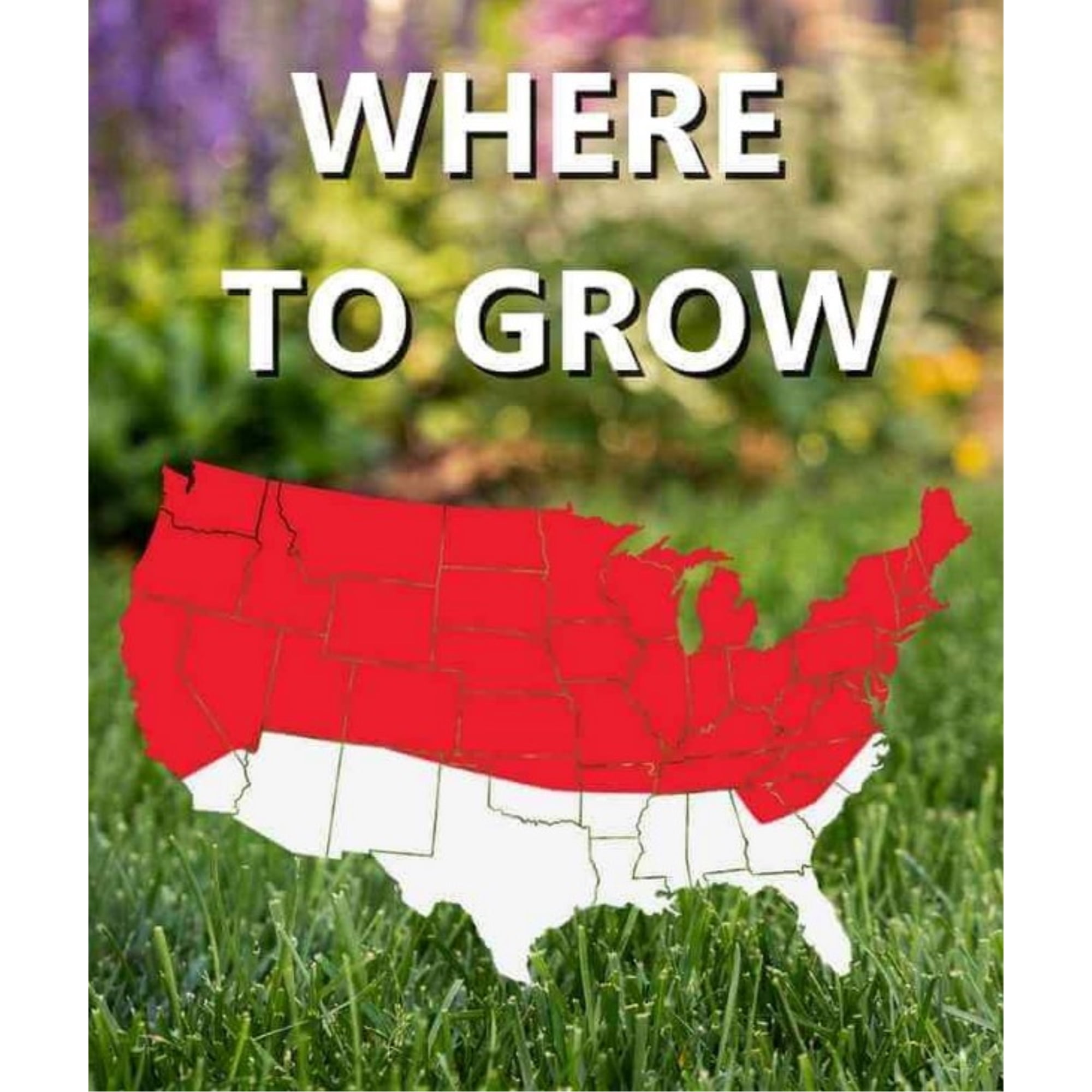 Jonathan Green Black Beauty 7 Lb. 2975 Sq. Ft. Coverage Full Sun Grass Seed