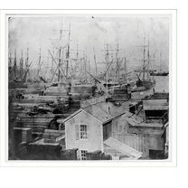 Historic Print, Pier No. 11. The Mendocino Lumber Yard, San Francisco, 16" x 20"